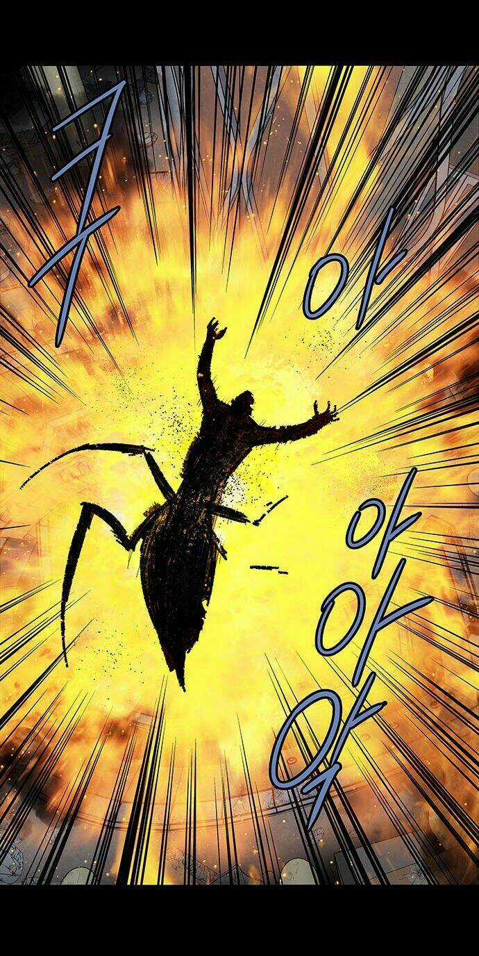 THẢM HỌA ONG ĐỘC Chapter 176 trang 43