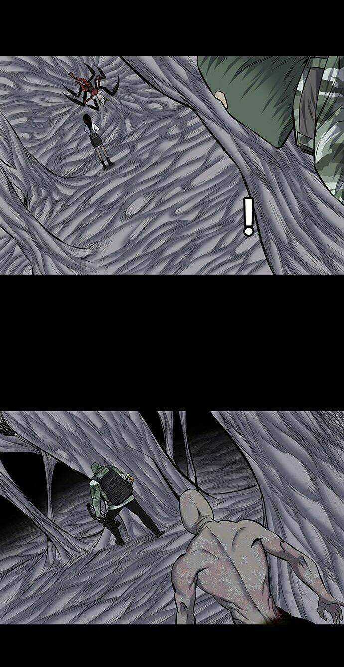 THẢM HỌA ONG ĐỘC Chapter 179 trang 19