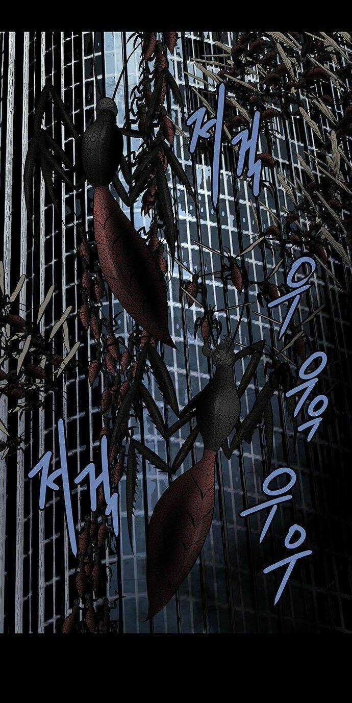 THẢM HỌA ONG ĐỘC Chapter 179 trang 32