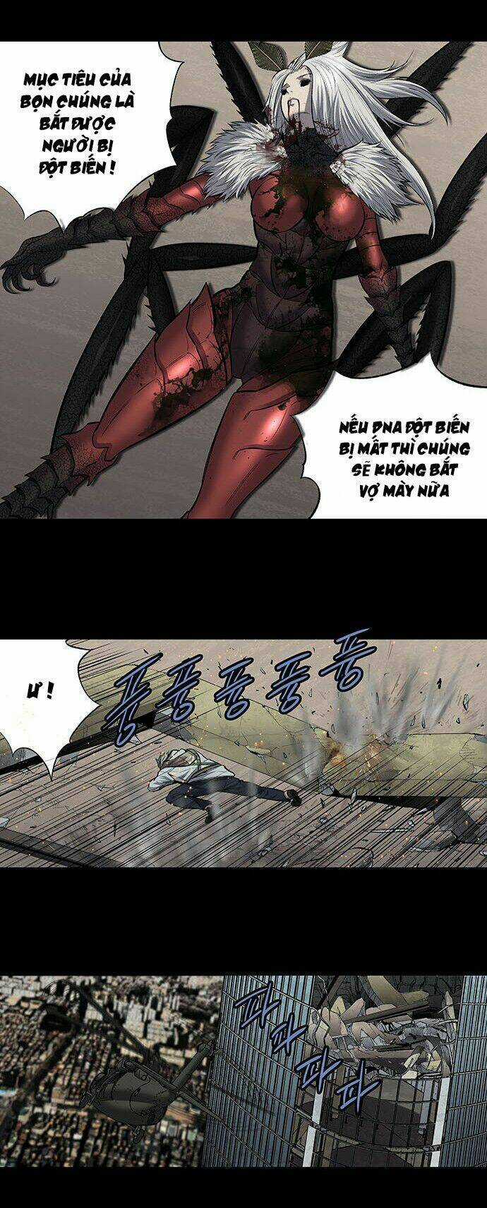 THẢM HỌA ONG ĐỘC Chapter 183 trang 35