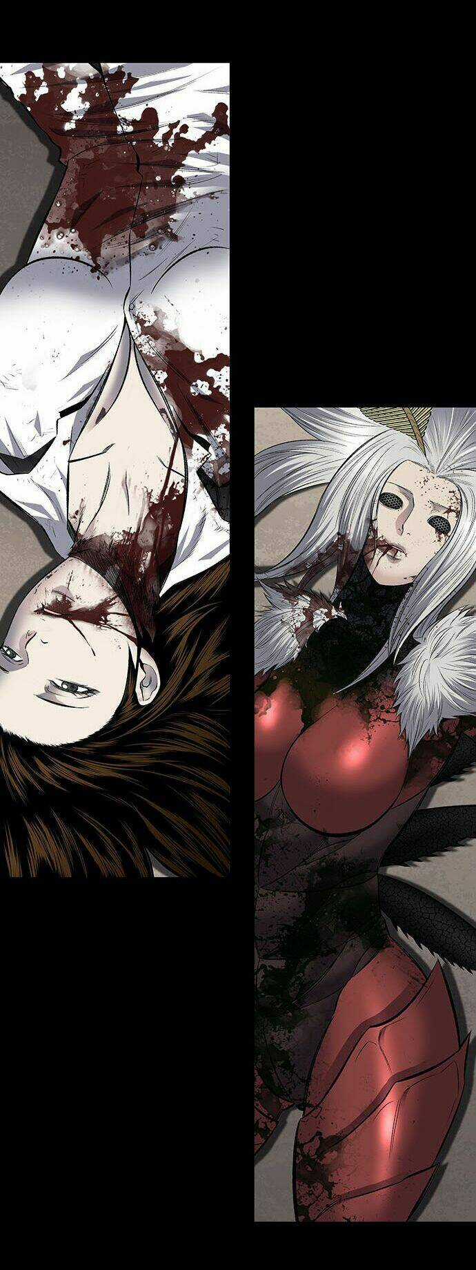 THẢM HỌA ONG ĐỘC Chapter 183 trang 39