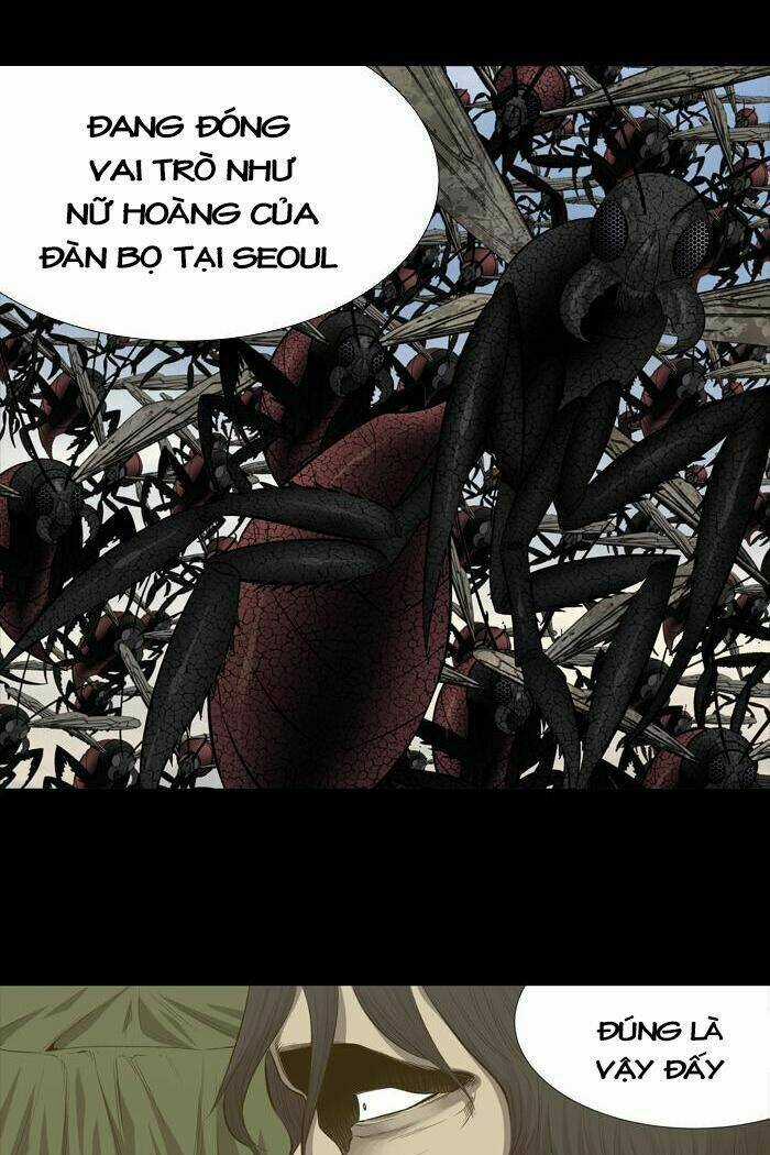 THẢM HỌA ONG ĐỘC Chapter 192 trang 32