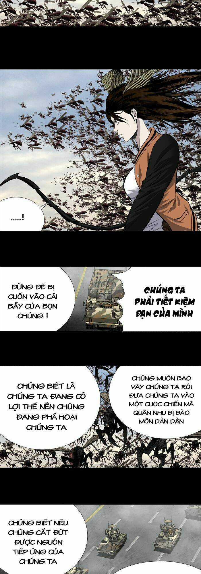 THẢM HỌA ONG ĐỘC Chapter 199 trang 32