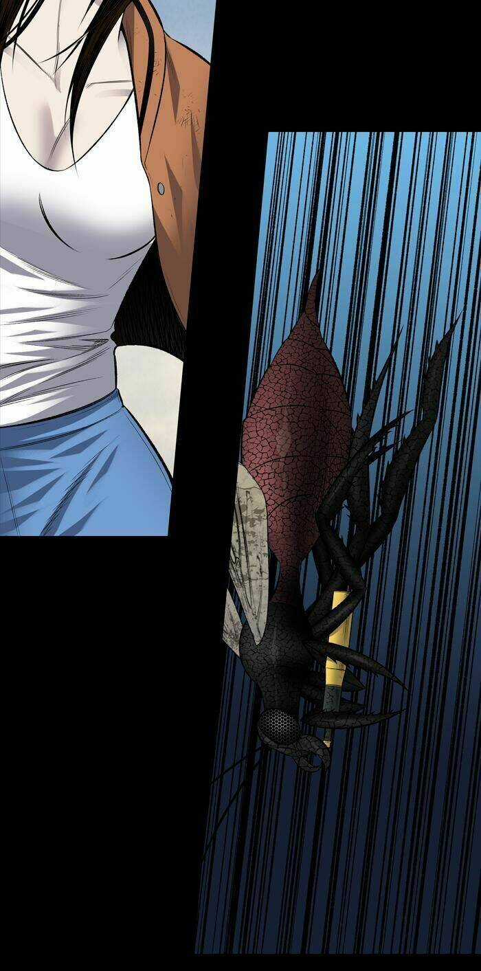 THẢM HỌA ONG ĐỘC Chapter 199 trang 37