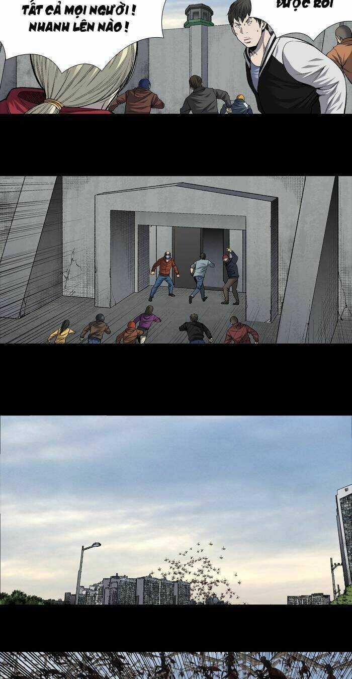 THẢM HỌA ONG ĐỘC Chapter 199 trang 4