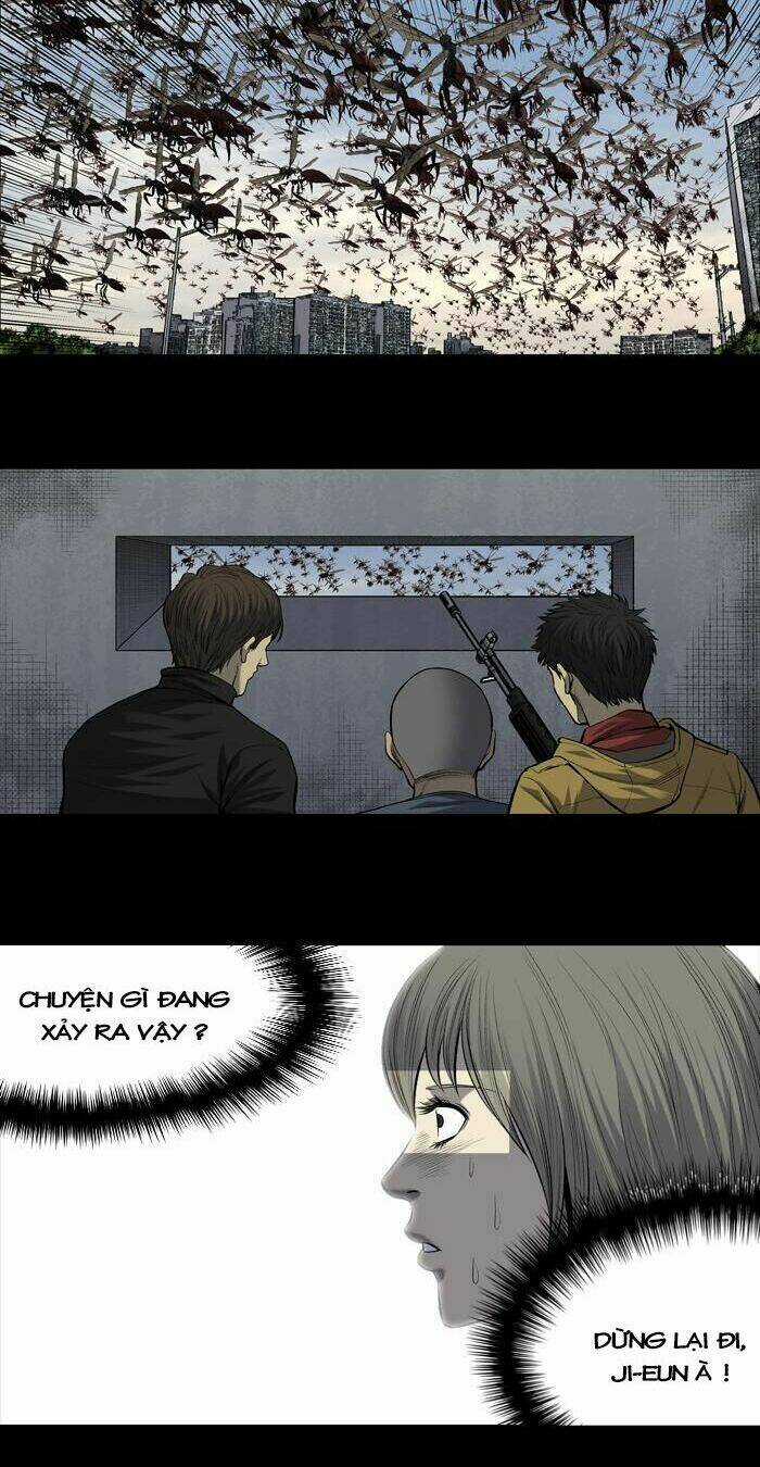 THẢM HỌA ONG ĐỘC Chapter 199 trang 5