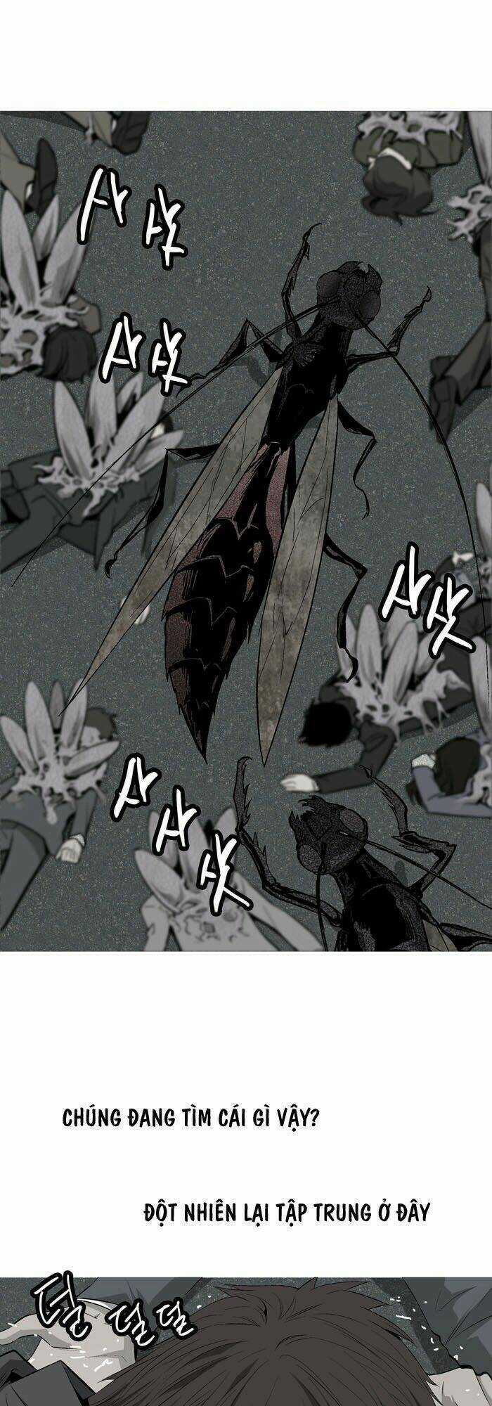 THẢM HỌA ONG ĐỘC Chapter 2 trang 24