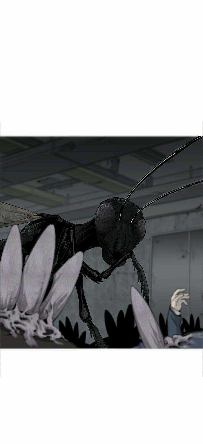 THẢM HỌA ONG ĐỘC Chapter 2 trang 27