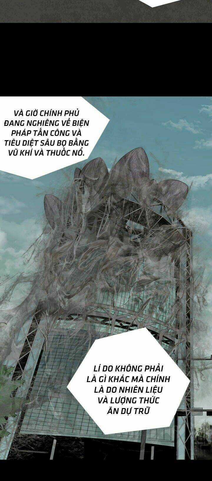 THẢM HỌA ONG ĐỘC Chapter 20 trang 23