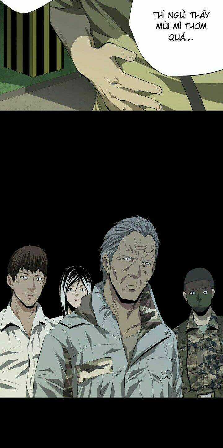 THẢM HỌA ONG ĐỘC Chapter 20 trang 32