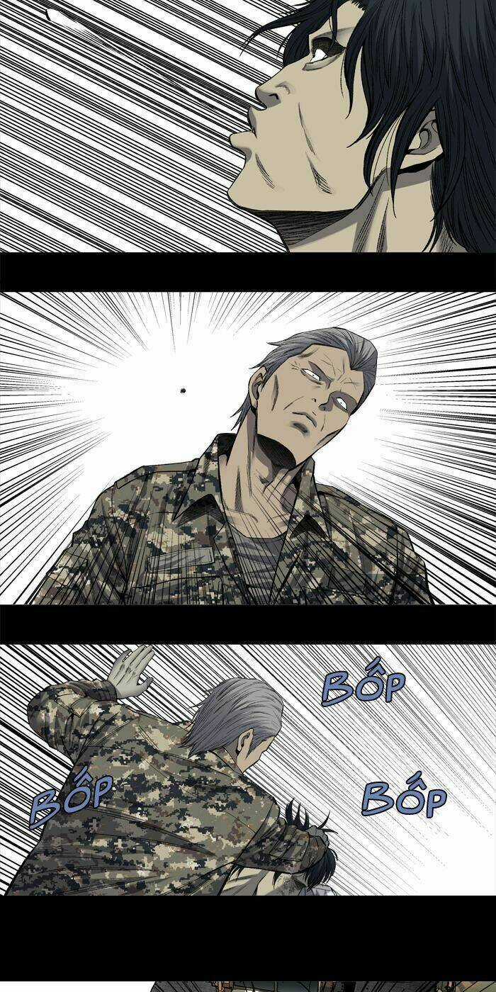 THẢM HỌA ONG ĐỘC Chapter 200 trang 31