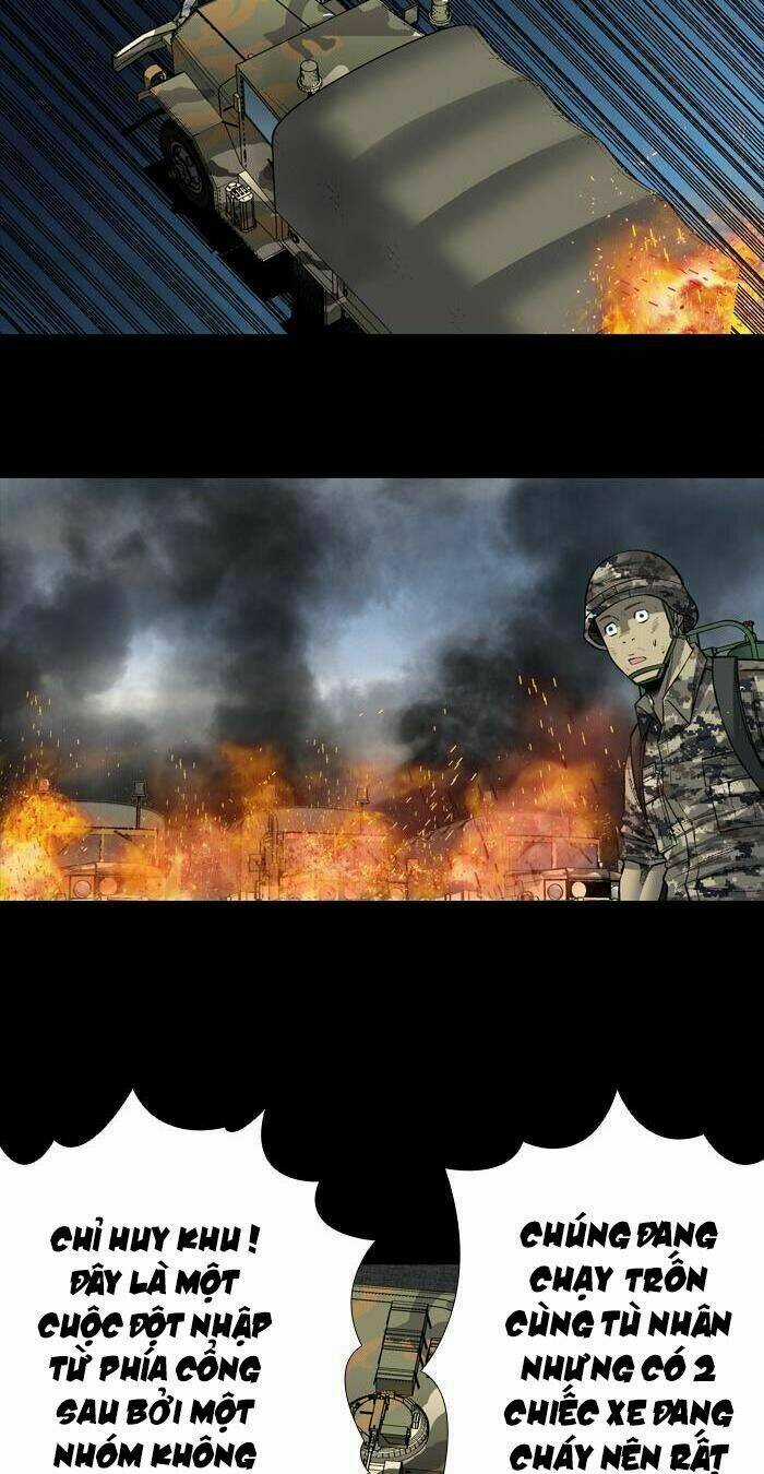 THẢM HỌA ONG ĐỘC Chapter 201 trang 31