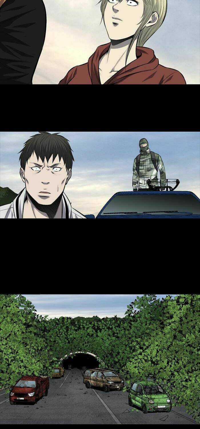 THẢM HỌA ONG ĐỘC Chapter 203 trang 19