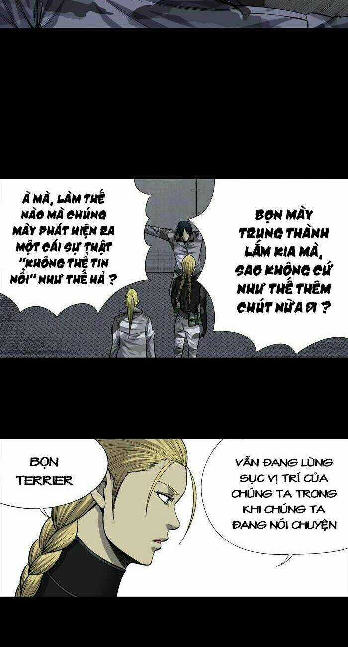 THẢM HỌA ONG ĐỘC Chapter 203 trang 24