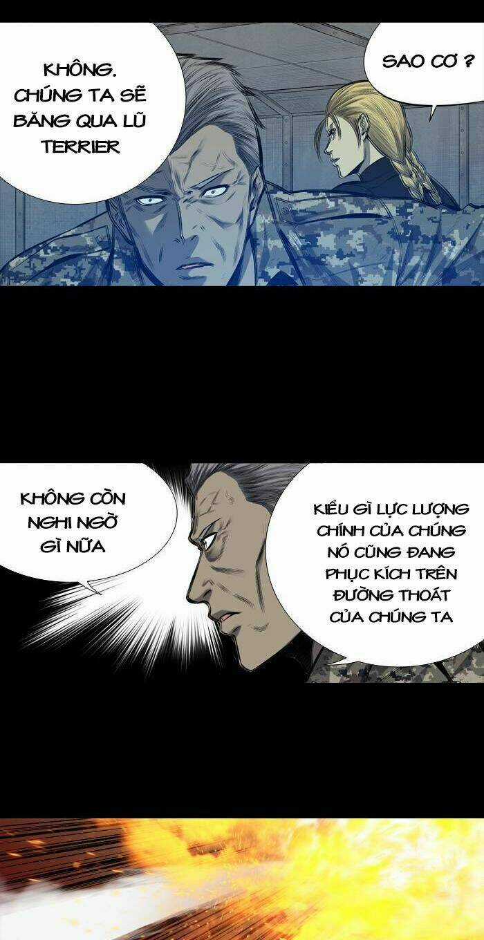 THẢM HỌA ONG ĐỘC Chapter 203 trang 35