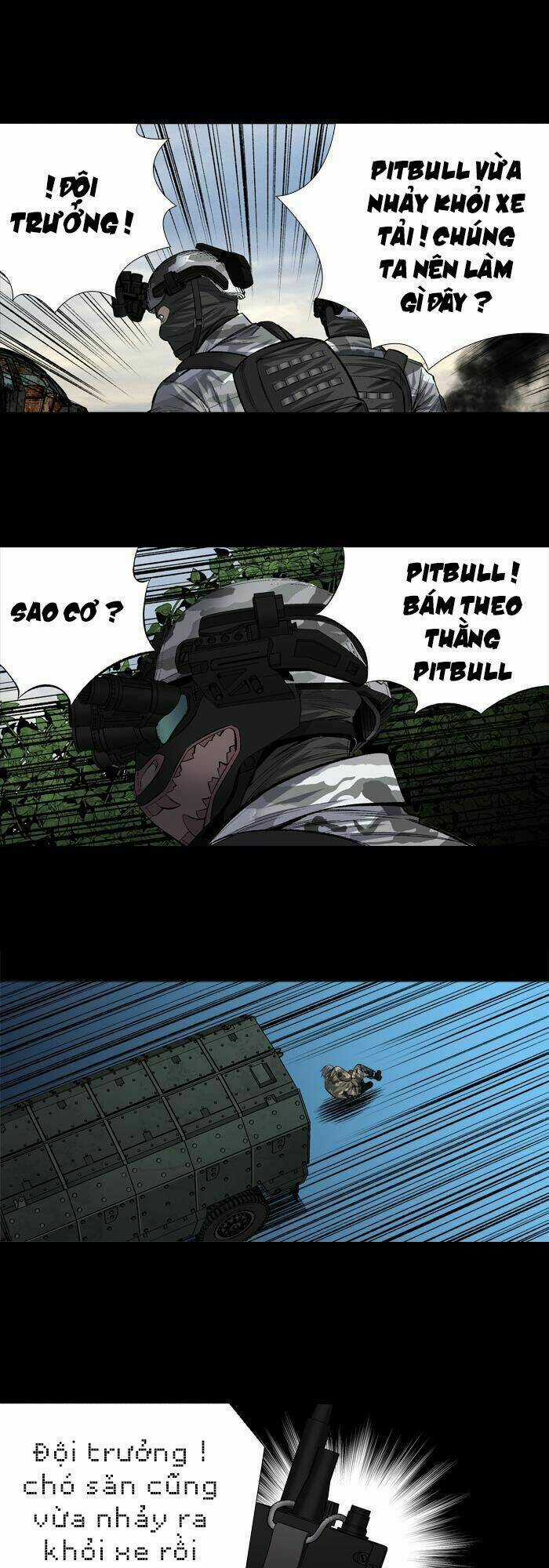 THẢM HỌA ONG ĐỘC Chapter 204 trang 13