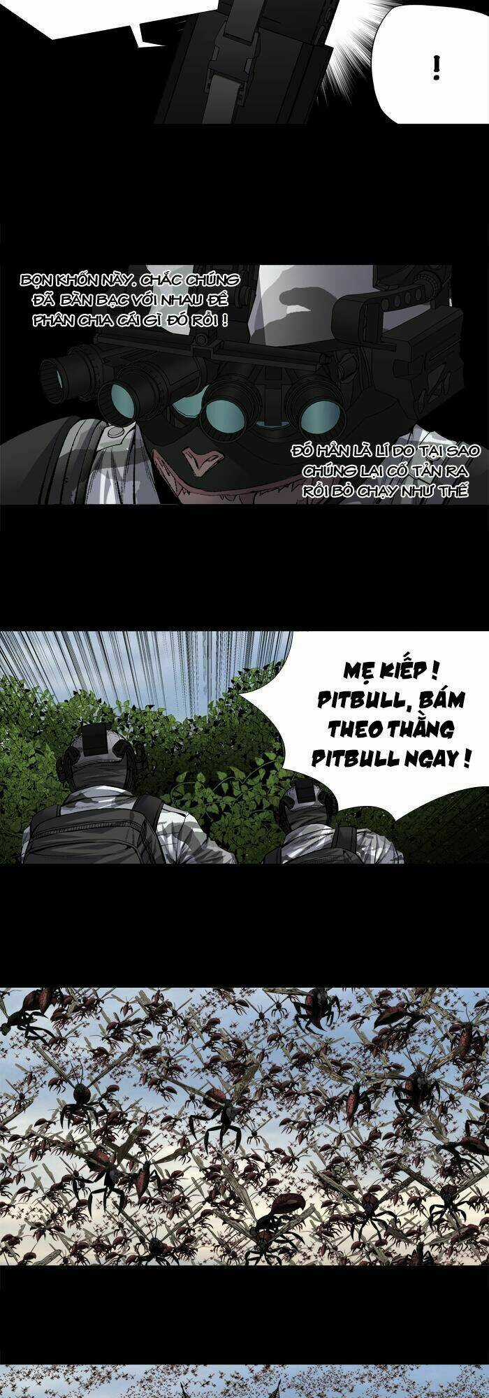 THẢM HỌA ONG ĐỘC Chapter 204 trang 14