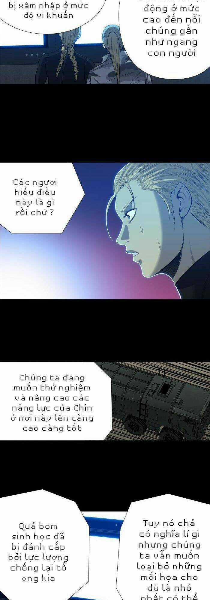 THẢM HỌA ONG ĐỘC Chapter 205 trang 11