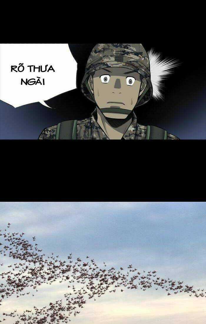 THẢM HỌA ONG ĐỘC Chapter 205 trang 31