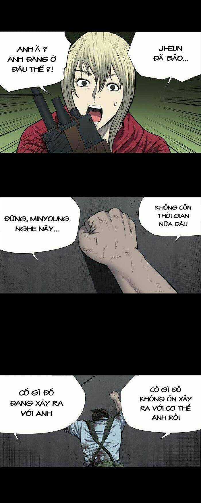 THẢM HỌA ONG ĐỘC Chapter 207 trang 25