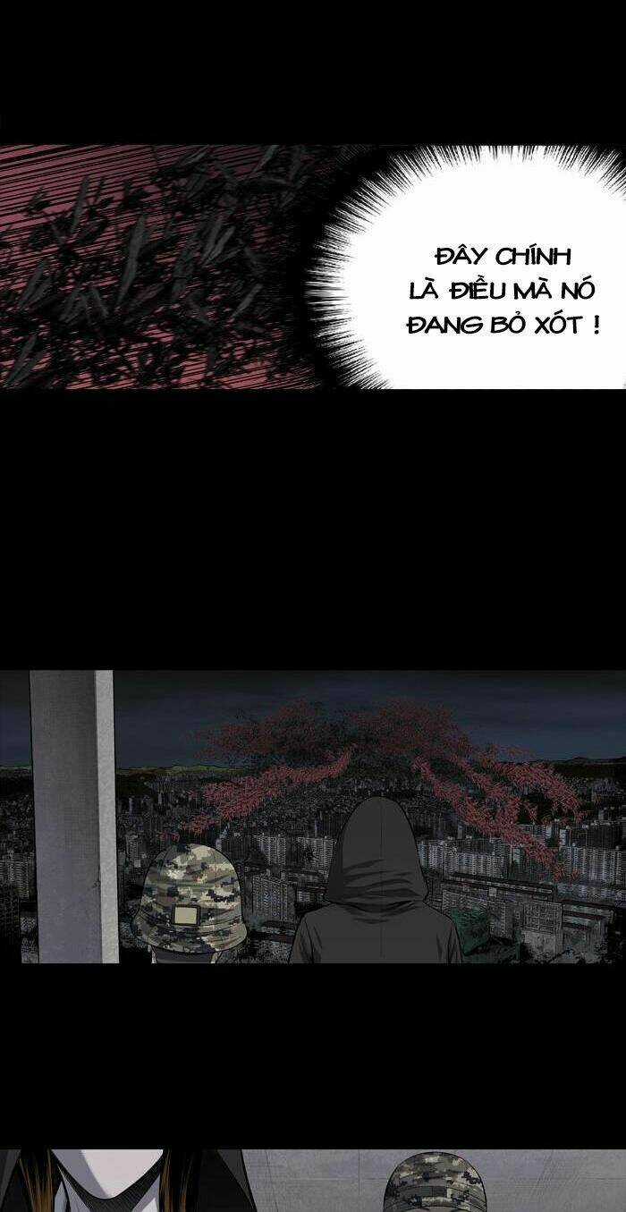 THẢM HỌA ONG ĐỘC Chapter 211 trang 10