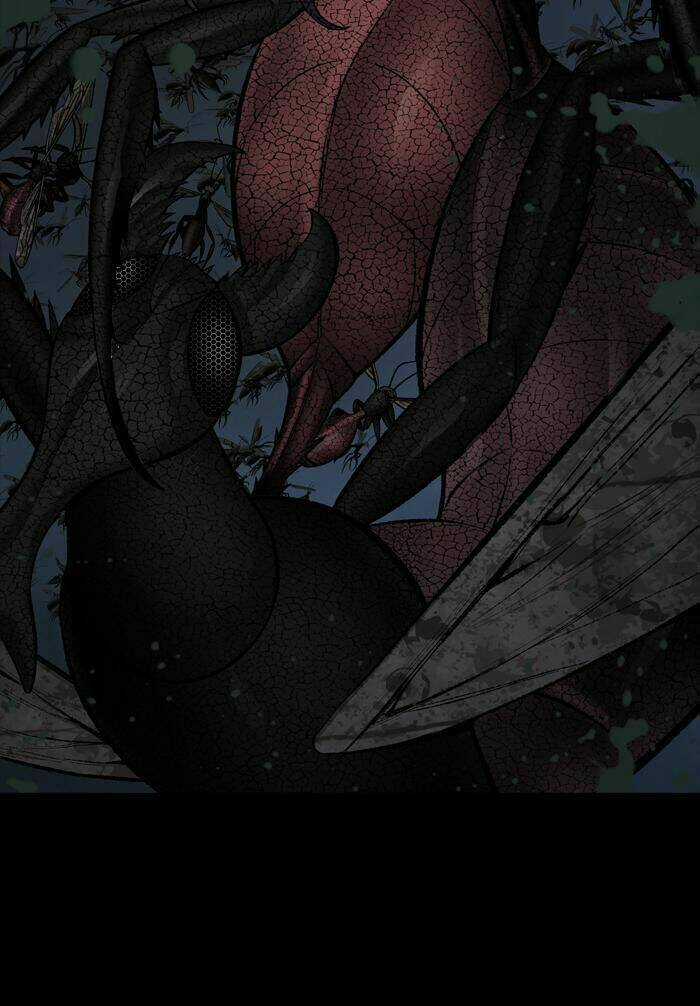 THẢM HỌA ONG ĐỘC Chapter 211 trang 30