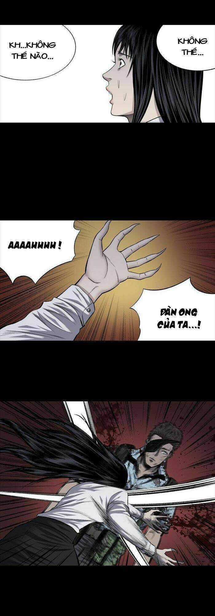 THẢM HỌA ONG ĐỘC Chapter 211 trang 36