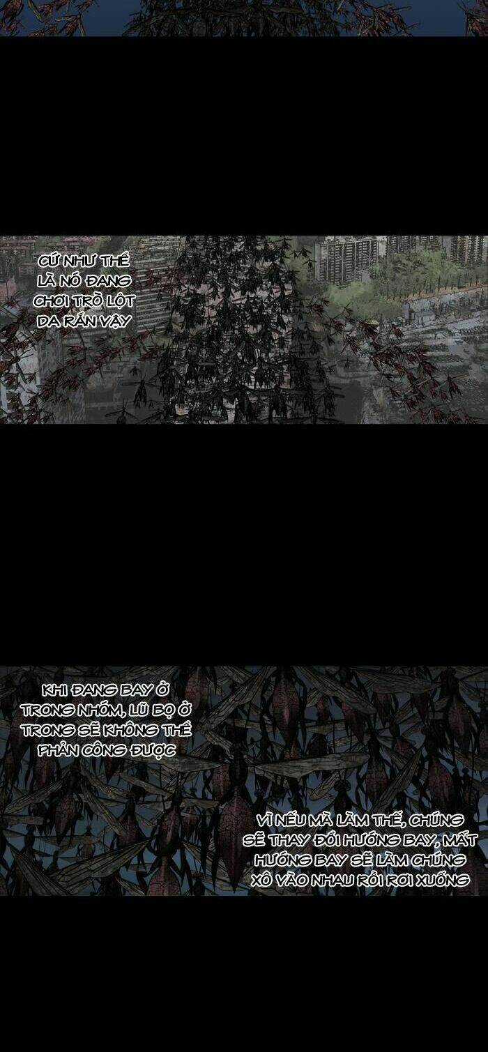 THẢM HỌA ONG ĐỘC Chapter 211 trang 7