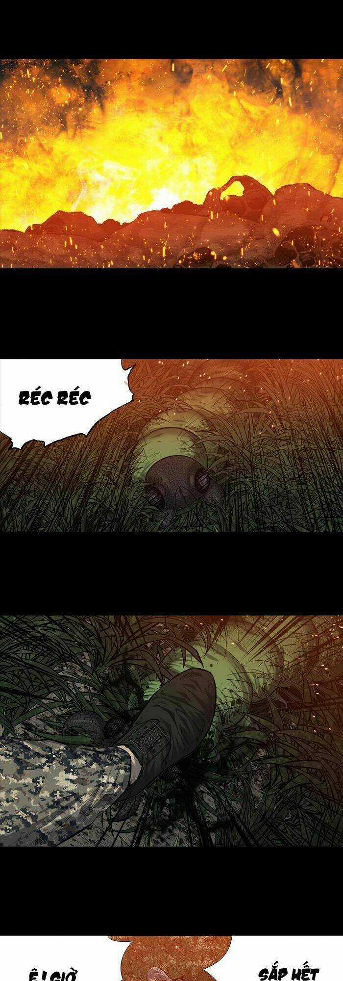 THẢM HỌA ONG ĐỘC Chapter 214 trang 18