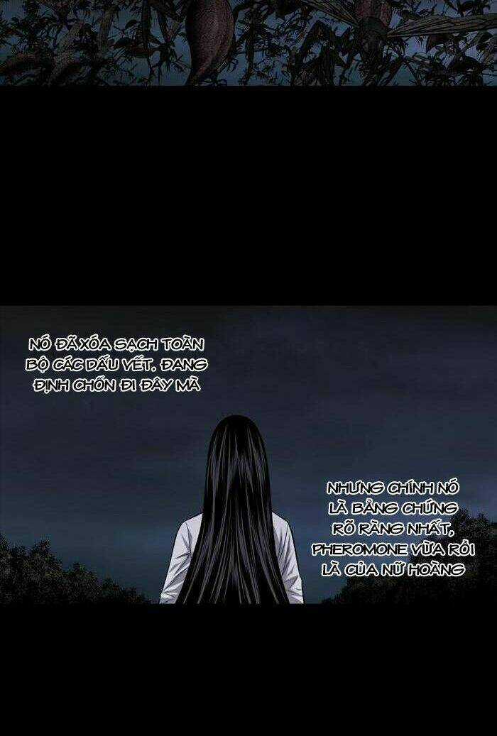 THẢM HỌA ONG ĐỘC Chapter 215 trang 15