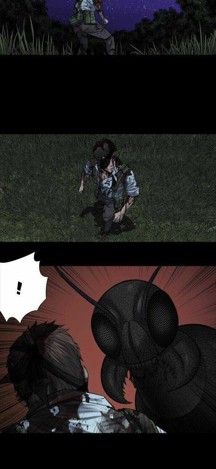 THẢM HỌA ONG ĐỘC Chapter 215 trang 5