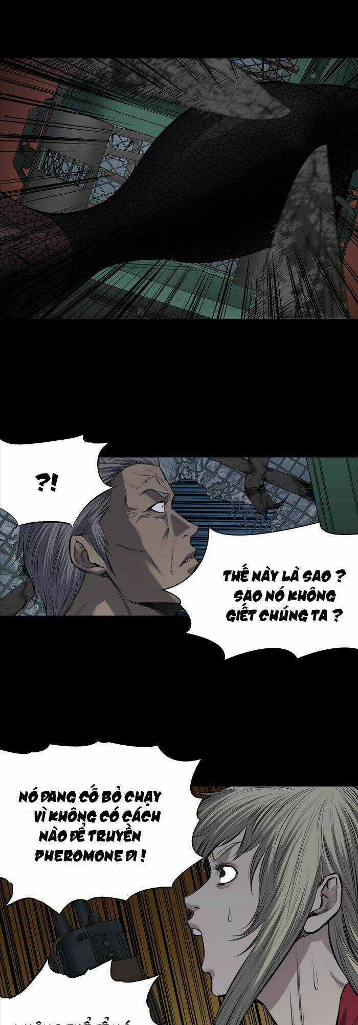 THẢM HỌA ONG ĐỘC Chapter 216 trang 29