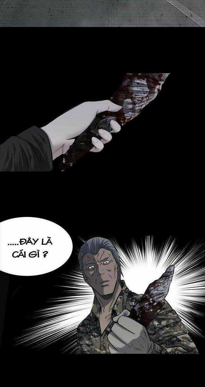 THẢM HỌA ONG ĐỘC Chapter 217 trang 22