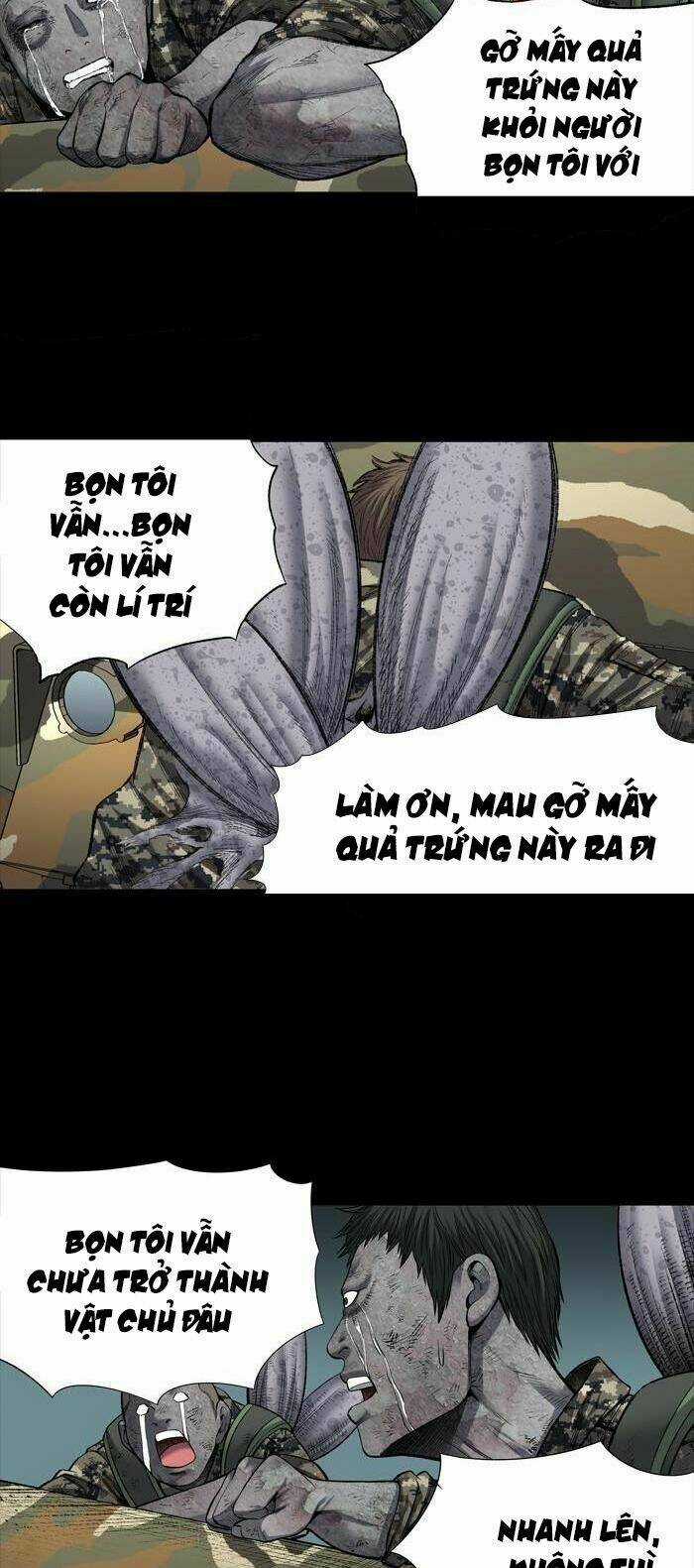 THẢM HỌA ONG ĐỘC Chapter 220 trang 15