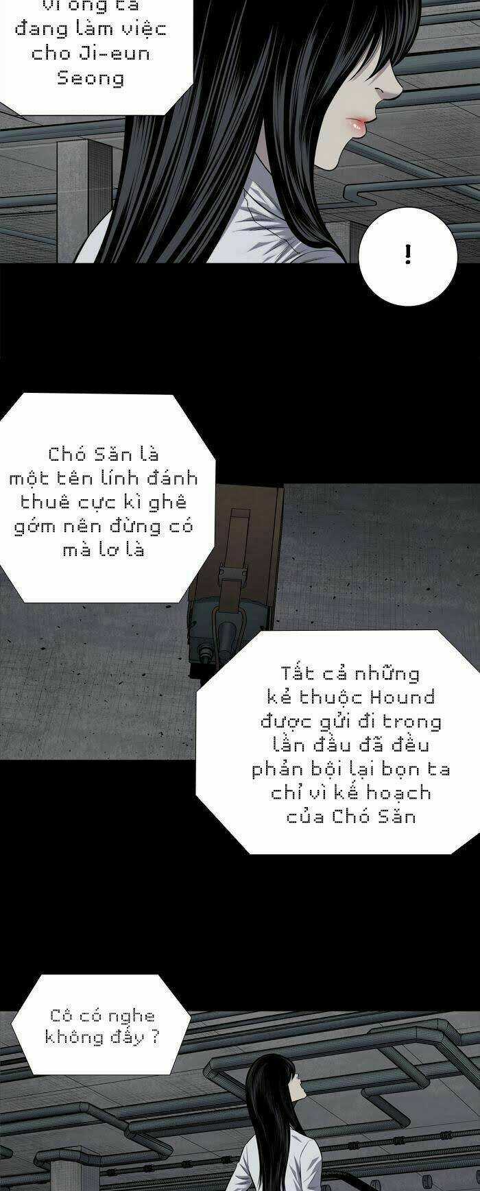 THẢM HỌA ONG ĐỘC Chapter 222 trang 2