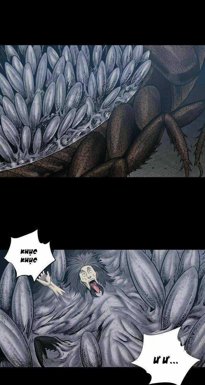 THẢM HỌA ONG ĐỘC Chapter 225 trang 11