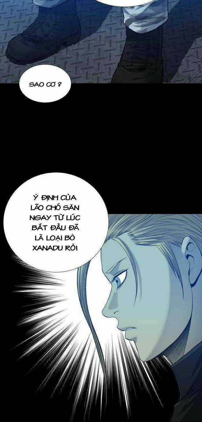 THẢM HỌA ONG ĐỘC Chapter 225 trang 30