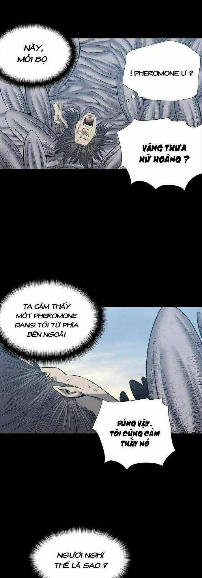 THẢM HỌA ONG ĐỘC Chapter 226 trang 13