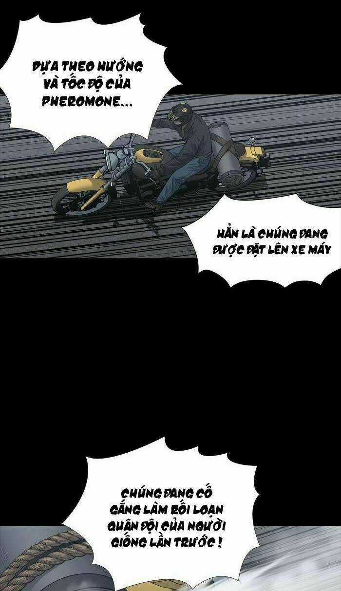 THẢM HỌA ONG ĐỘC Chapter 226 trang 15