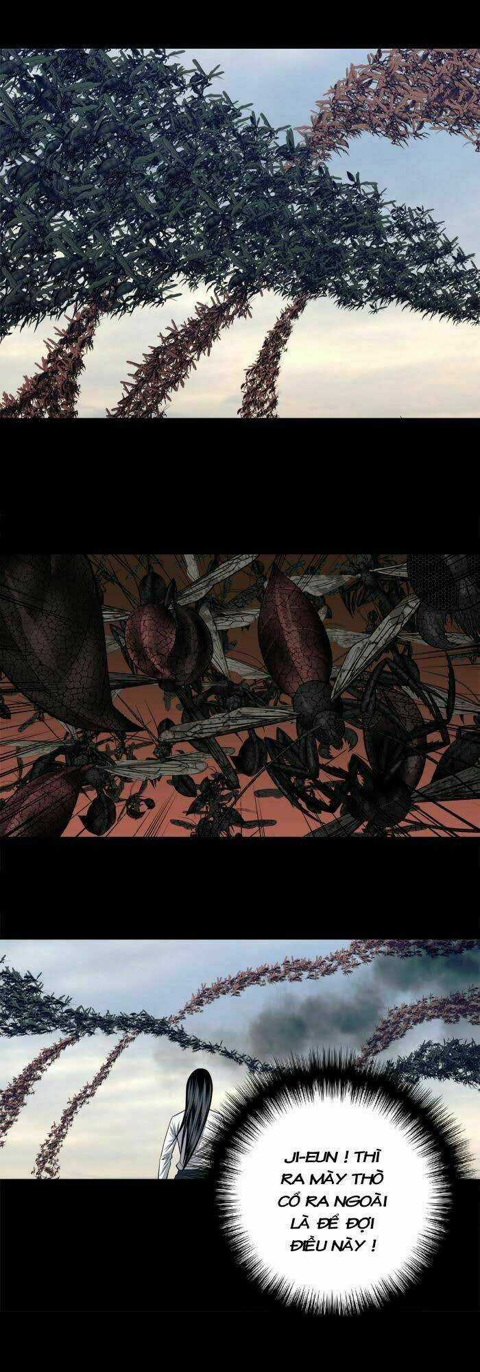 THẢM HỌA ONG ĐỘC Chapter 227 trang 16