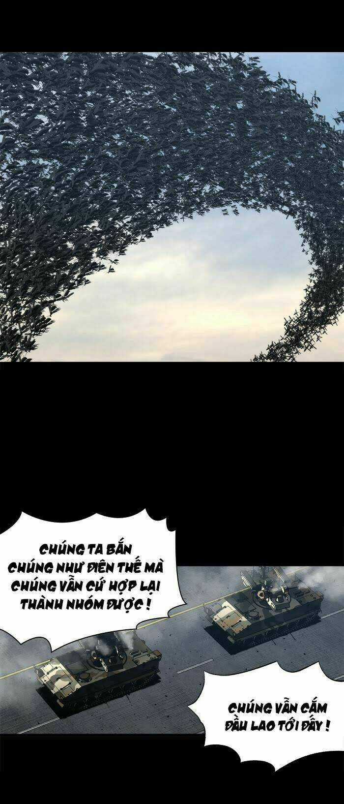 THẢM HỌA ONG ĐỘC Chapter 227 trang 3