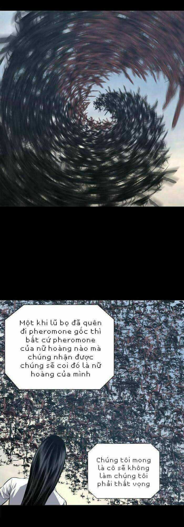 THẢM HỌA ONG ĐỘC Chapter 228 trang 24