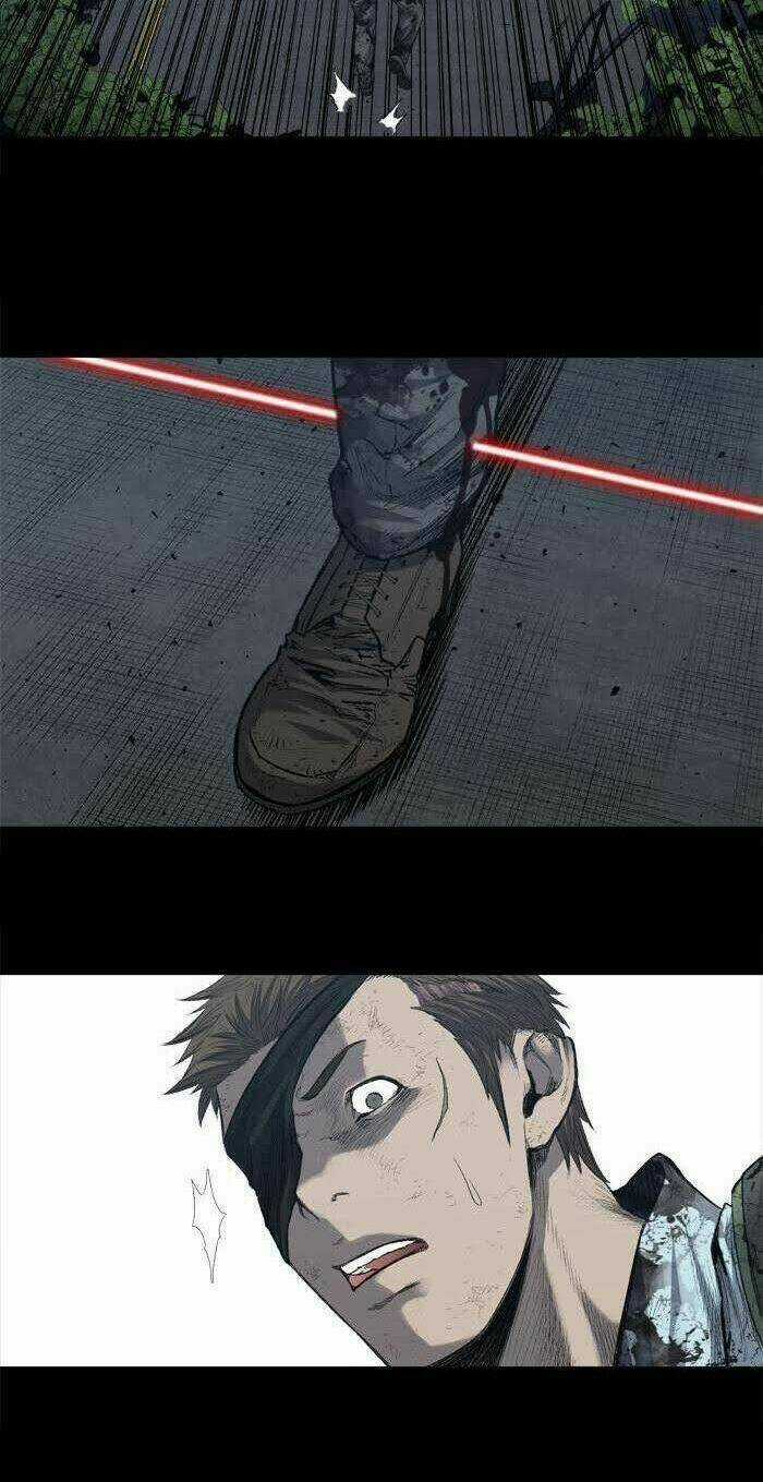 THẢM HỌA ONG ĐỘC Chapter 229 trang 12