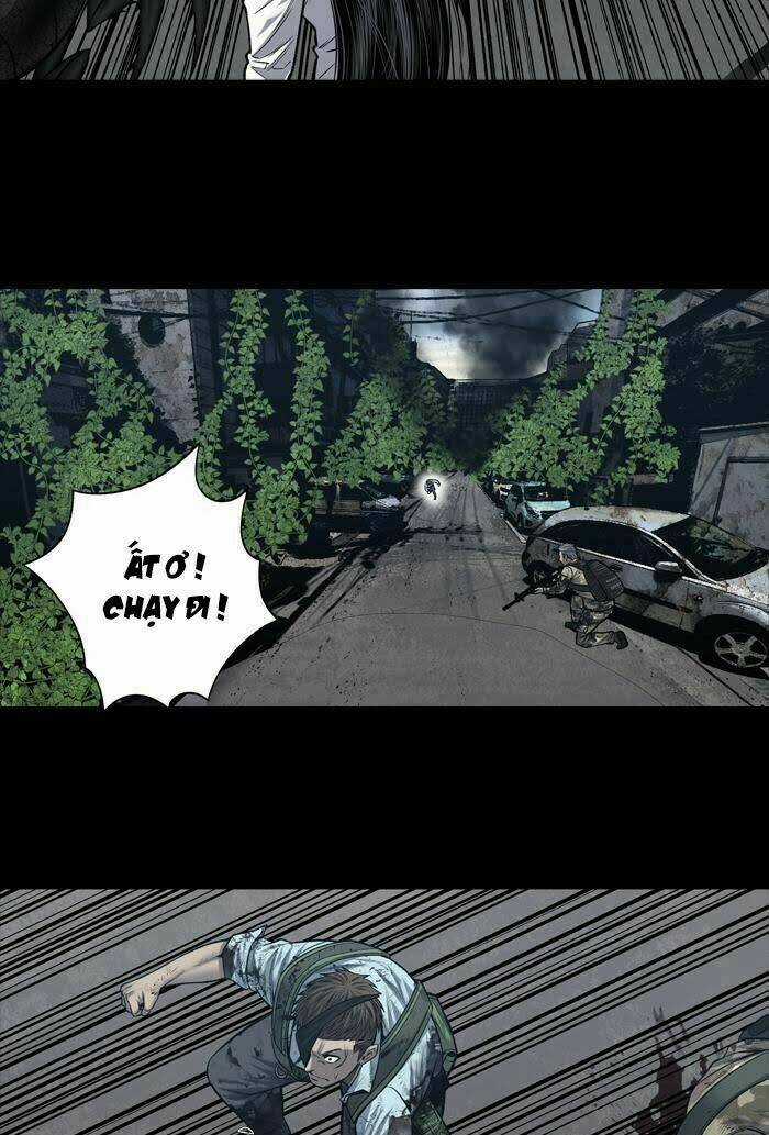 THẢM HỌA ONG ĐỘC Chapter 229 trang 19