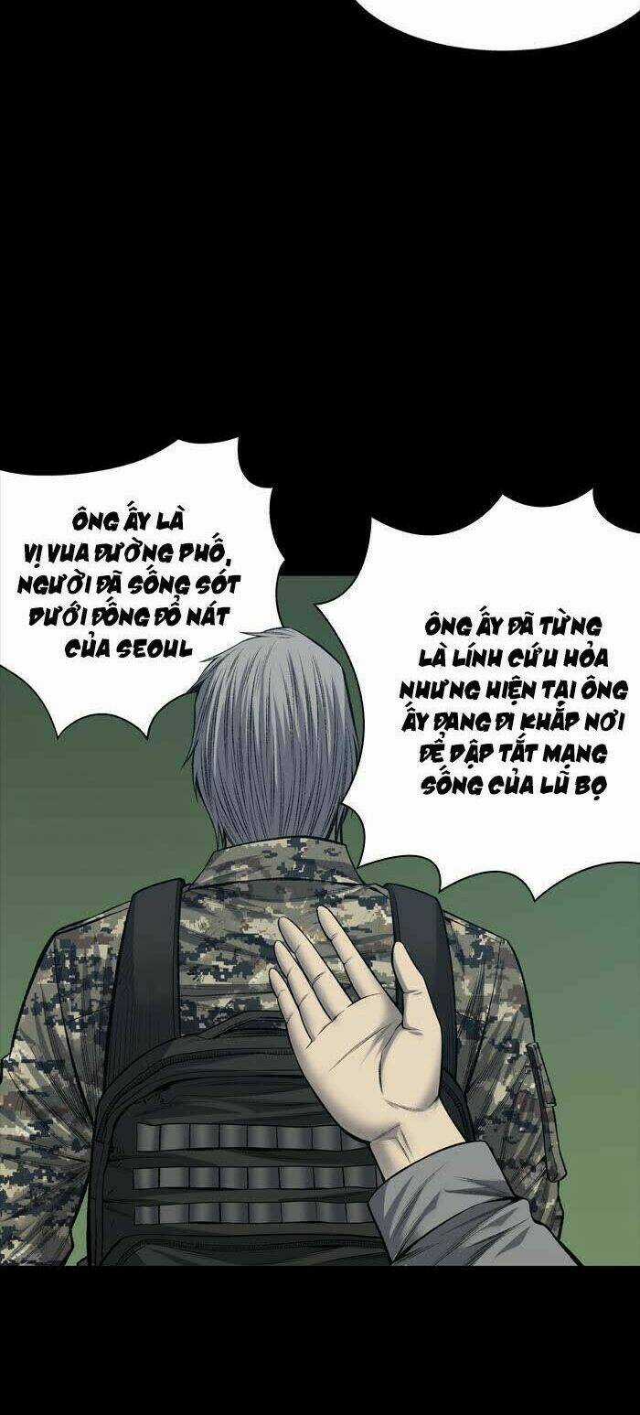 THẢM HỌA ONG ĐỘC Chapter 229 trang 31