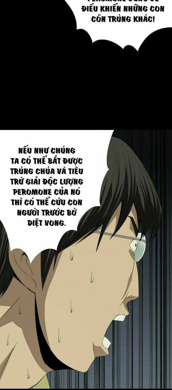 THẢM HỌA ONG ĐỘC Chapter 23 trang 11