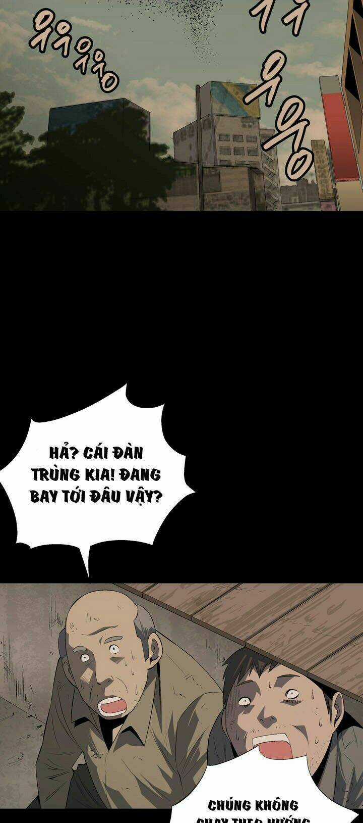 THẢM HỌA ONG ĐỘC Chapter 23 trang 51