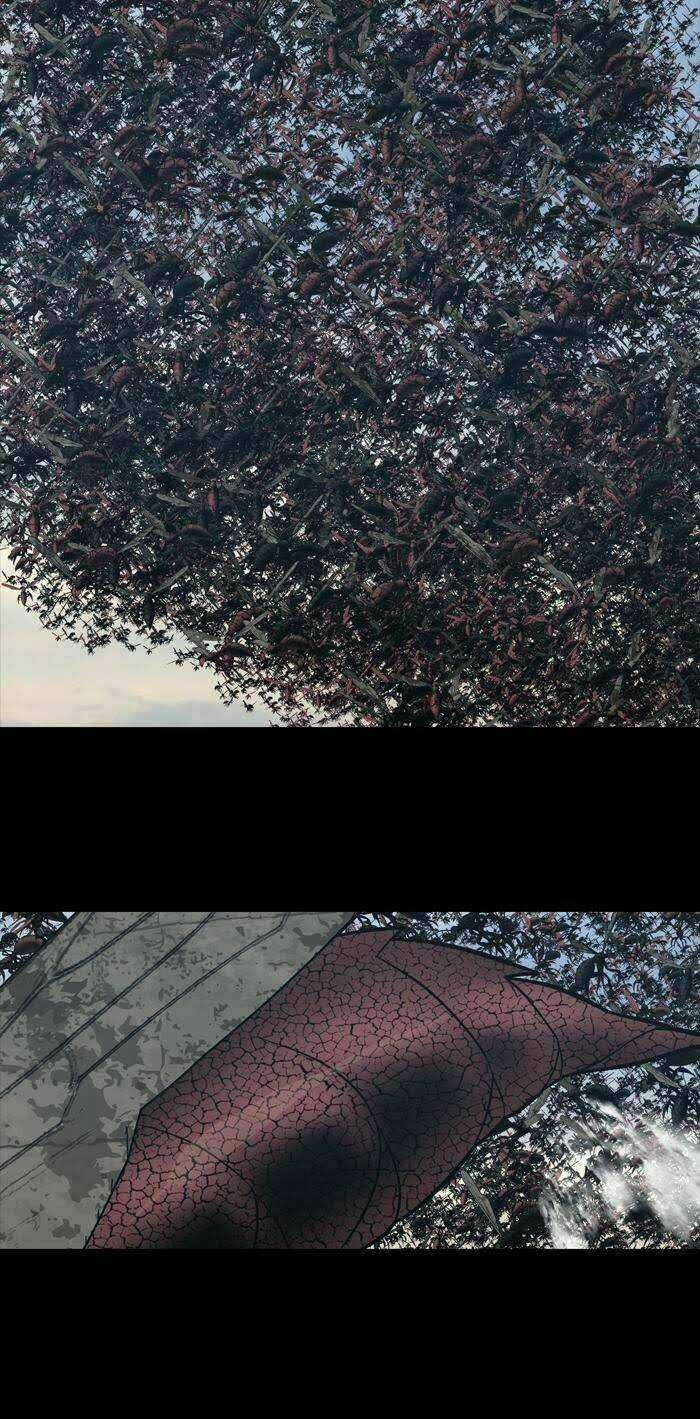 THẢM HỌA ONG ĐỘC Chapter 230 trang 2