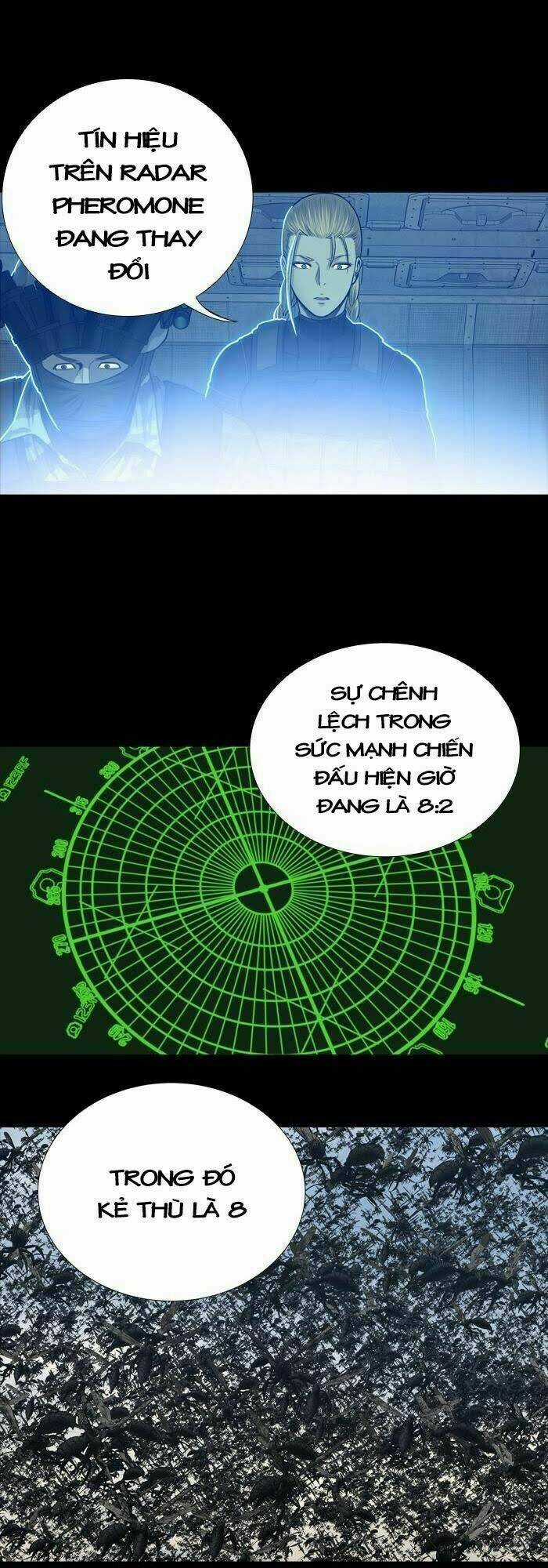 THẢM HỌA ONG ĐỘC Chapter 230 trang 22