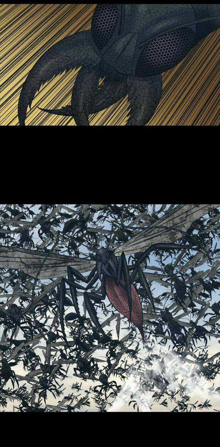 THẢM HỌA ONG ĐỘC Chapter 230 trang 3